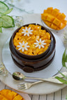Fresh Mango Chocolate Entremet